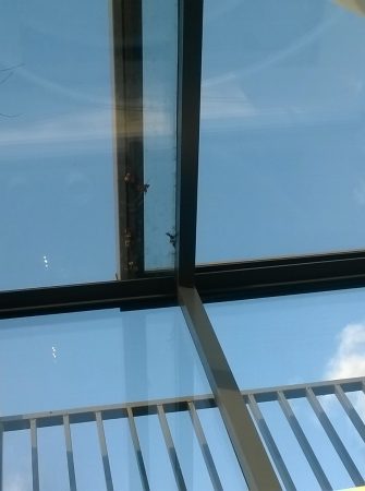 Freestanding Box Rooflight - Glazing Vision Europe NL