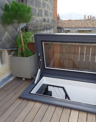 Skydoor Hinged Acces Rooflight - Glazing Vision Europe